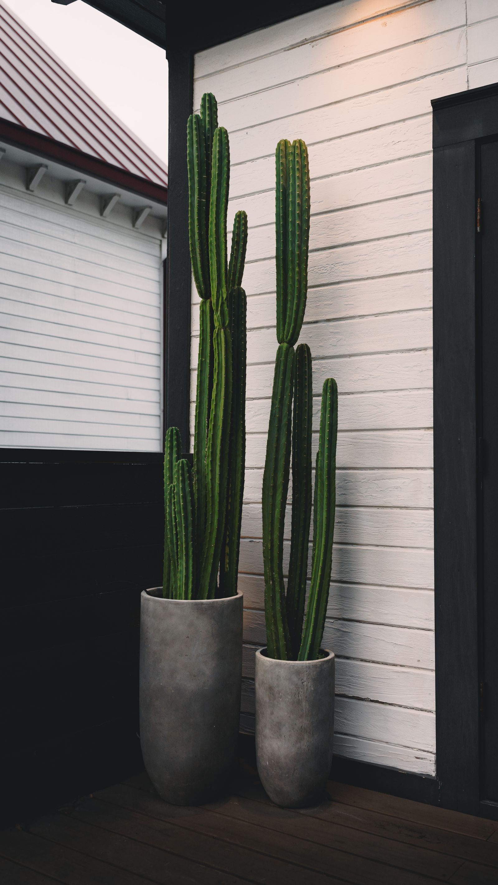 Cityview — photo 8