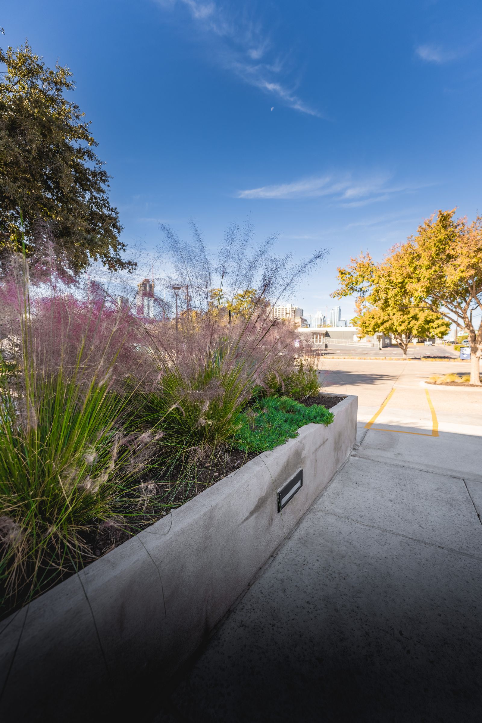 Assembly Hall — photo 3