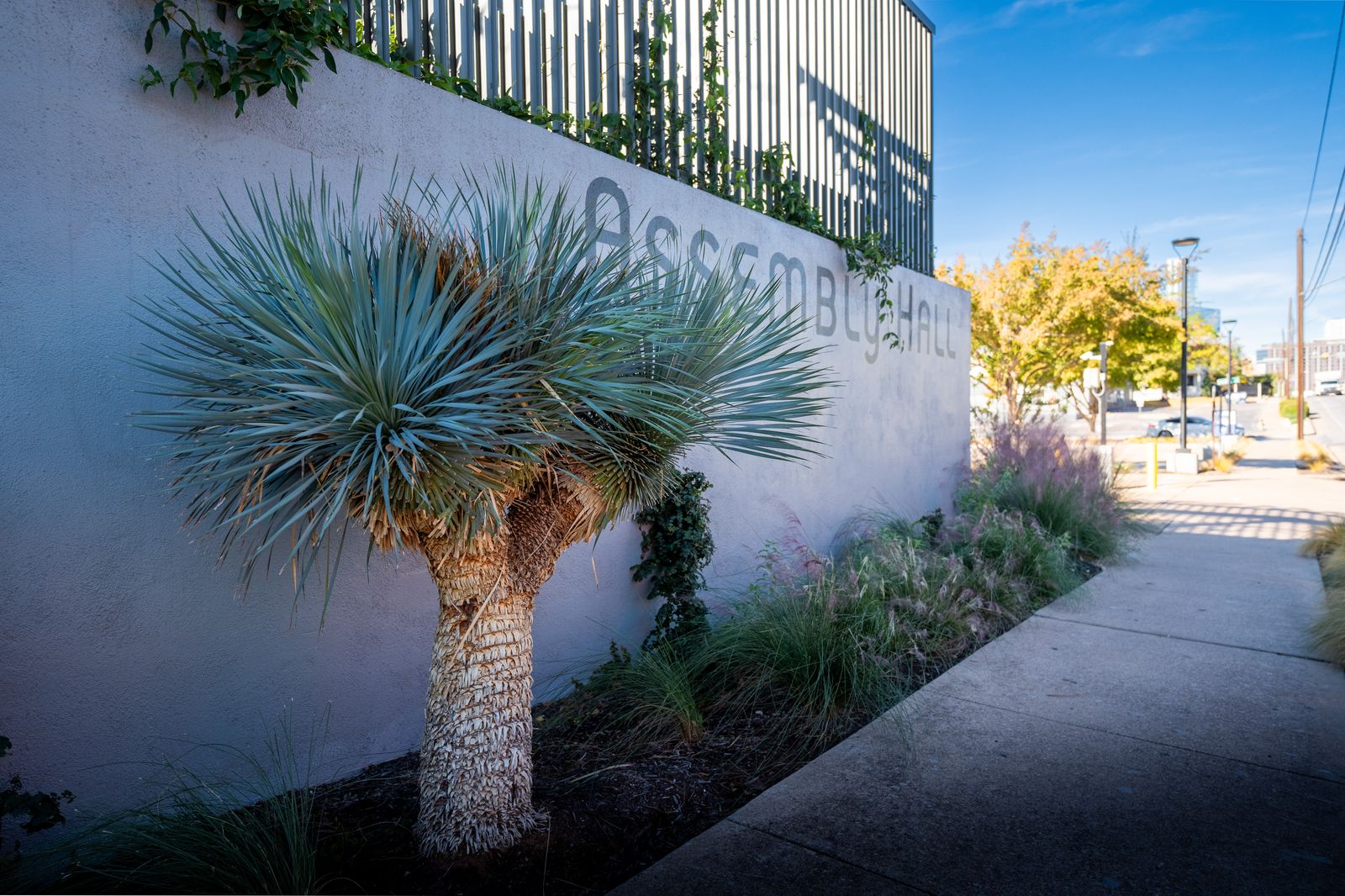 Assembly Hall — photo 8