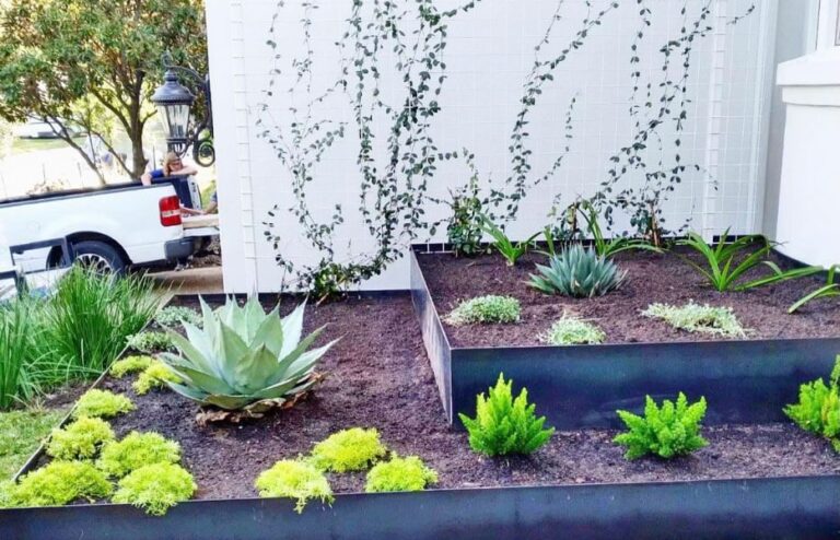 Lawn care service Austin TX