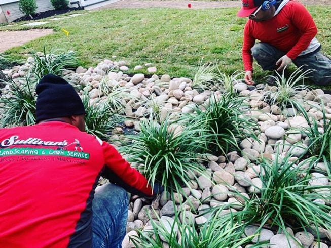 Austin lawn clean-up service