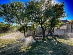 Integrating Irrigation into Your Central Texas Landscape Design