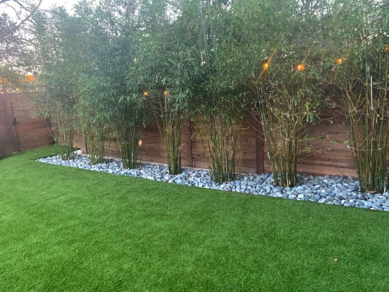 Affordable Landscaping Tips For Budget-Friendly Homeowners