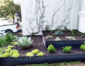 Big Style Yards on Affordable Landscaping Austin Budgets